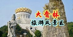黄色日逼黄色日逼中国浙江-绍兴大香林旅游风景区